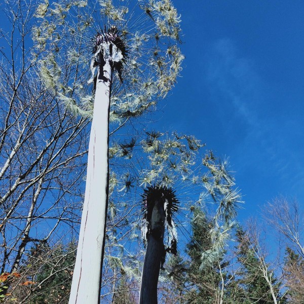 25c89d8d-075b-4e4e-b297-e3705c088403