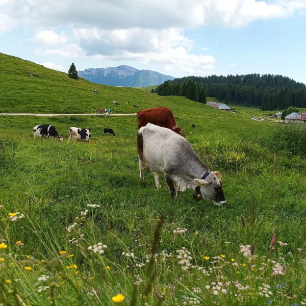 356068337_2350624295107207_7803268388387511203_n