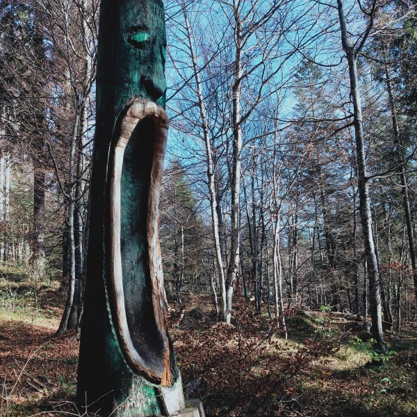 712f5625-37c5-455b-9d21-cef13e2a3604