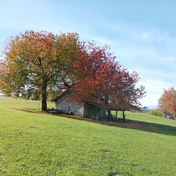 Cason delle Meraviglie 2