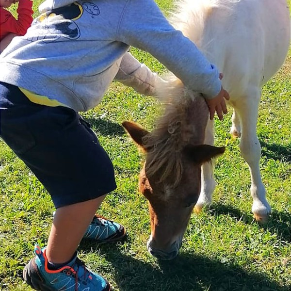 Cason delle Meraviglie 3