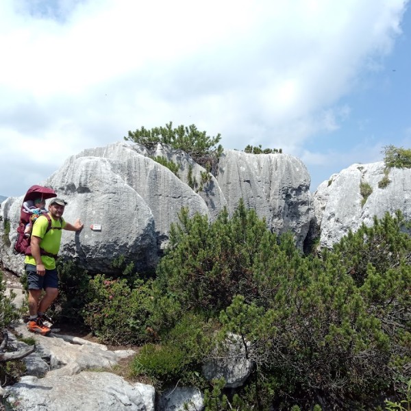 Castelloni di san marco 1