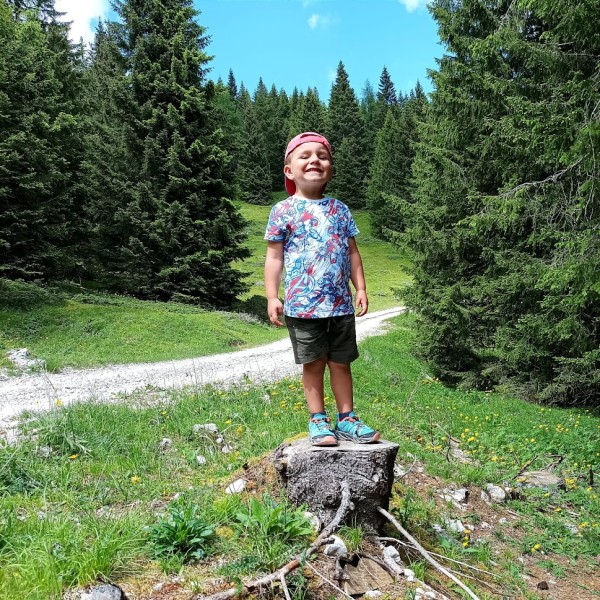 Malga Campo Mandriolo 1