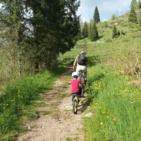 Strada del trenino 3