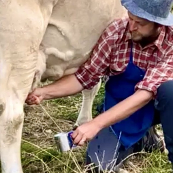 WhatsApp Image 2023-09-19 at 17.12.33