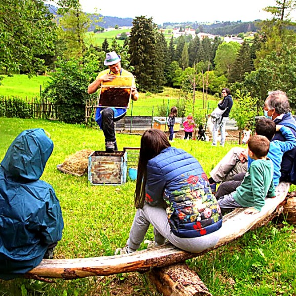 apicoltura_golden_300dpi