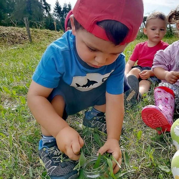 cason delle meraviglie 4